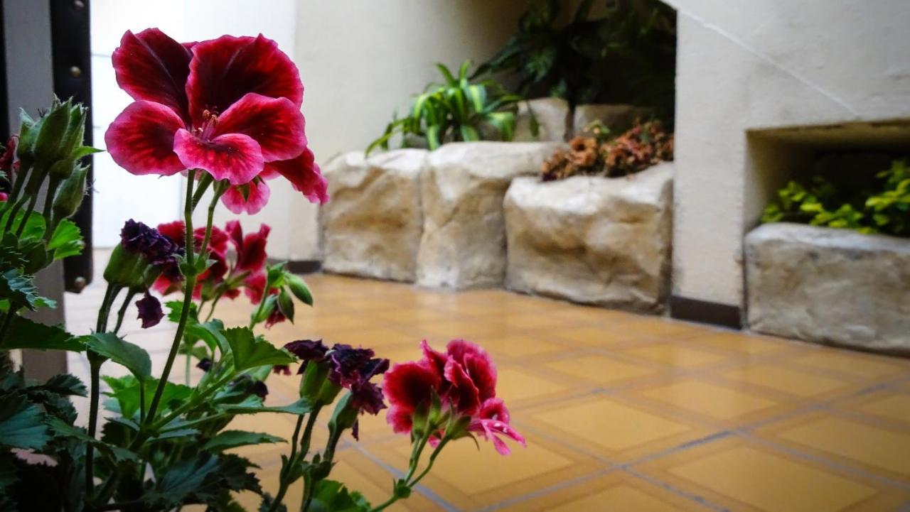 Hotel Mariscal Inn & Suite Куэнка Экстерьер фото